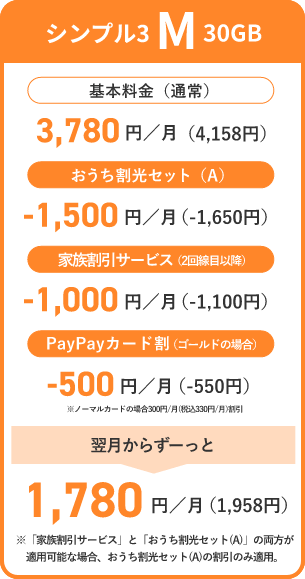 シンプル3 M 30GB